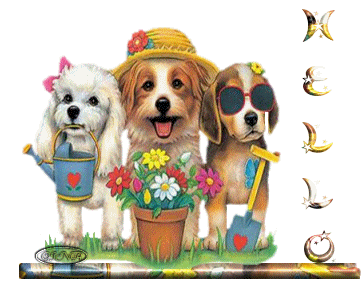 http://www.ginagraphisme-peinture.net/GIF%202/Hellochien.gif